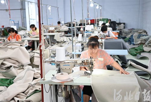 河北深澤 合作共贏促發(fā)展，家居用品產(chǎn)業(yè)綻放新活力